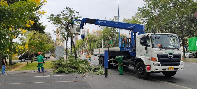 Di dời, đốn hạ hơn 1.000 cây xanh để xây dựng nút giao thông An Phú - Ảnh 1.