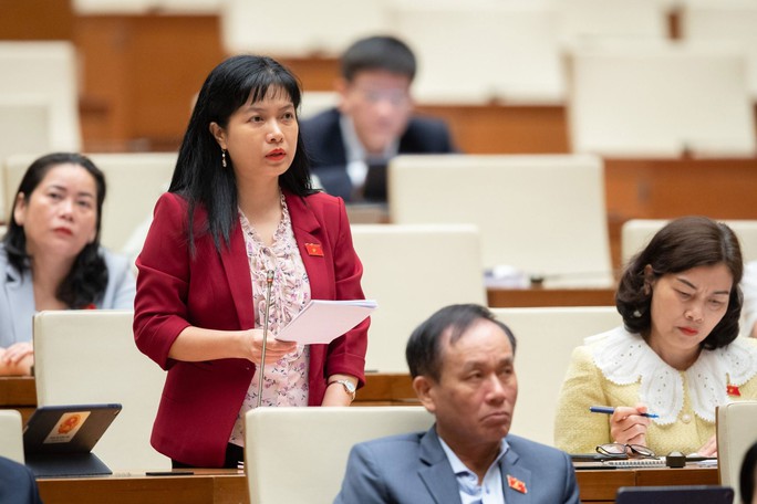 Còn nhiều băn khoăn về dự thảo Luật Đất đai - Ảnh 1.