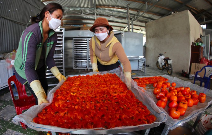 Dâu tây, hồng, đông trùng hạ thảo... vào nhóm sản phẩm thương hiệu Đà Lạt - Ảnh 1.