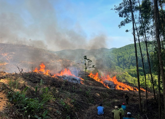 Nhiều hecta rừng ở Quảng Trị chìm trong biển lửa - Ảnh 1.