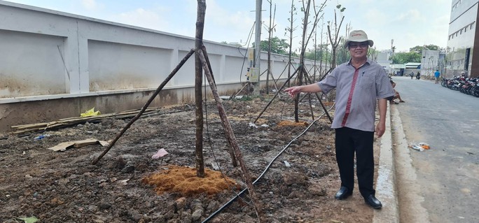 Bệnh viện có bãi đáp trực thăng phủ xanh không gian - Ảnh 5.