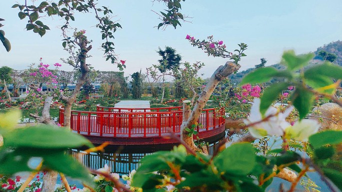 An Hảo vị ngọt, hương thơm ngày nắng hạ - Ảnh 3. An Hảo vị ngọt, hương thơm ngày nắng hạ - Ảnh 3.