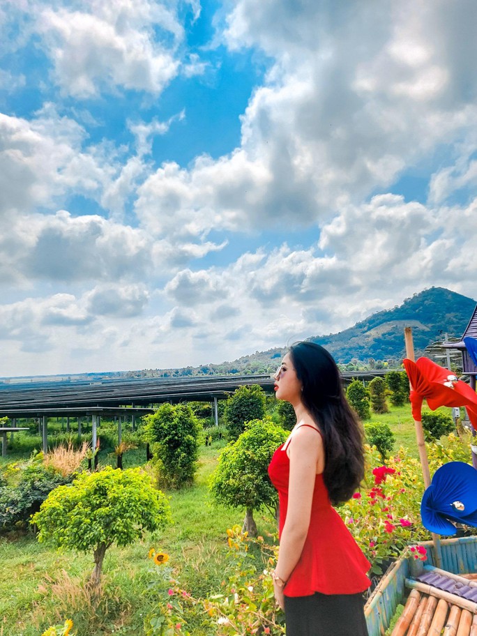 An Hảo vị ngọt, hương thơm ngày nắng hạ - Ảnh 8. An Hảo vị ngọt, hương thơm ngày nắng hạ - Ảnh 8.