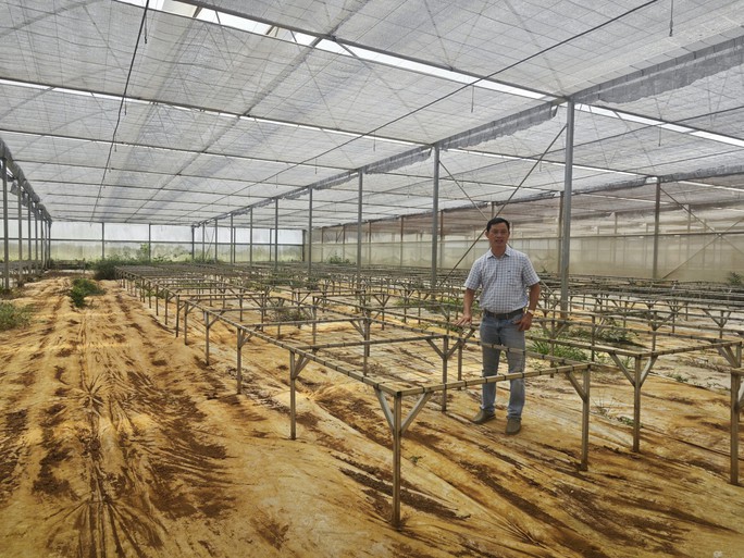 Hình ảnh xót xa ở dự án nông nghiệp hữu cơ lớn nhất Việt Nam - Ảnh 8.