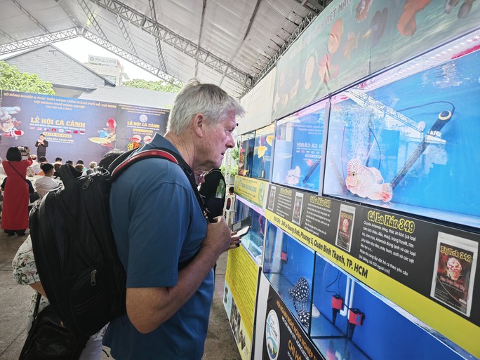 Đi Lễ hội Cá cảnh TP HCM, khách được vớt cá cảnh miễn phí về nuôi - Ảnh 6.