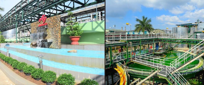 Liên tiếp nhân rộng phần mềm thực đơn dinh dưỡng của Bộ Y tế cho bà mẹ và trẻ em - Ảnh 4.