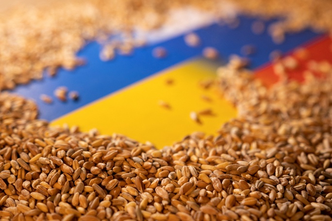 Châu Âu cấm cửa một phần ngũ cốc Ukraine, Nga bác cáo buộc tàu cá gián điệp - Ảnh 1.
