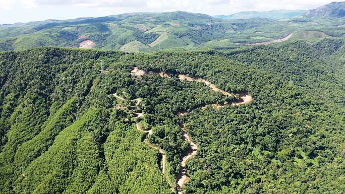 Hàng ngàn m2 rừng bị phá để làm đường khi chưa được cơ quan chức năng cấp phép - Ảnh 2.