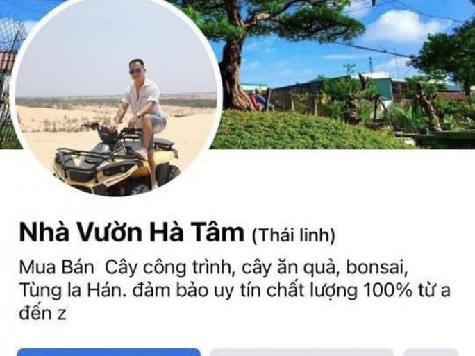 Lập Facebook ảo lừa bán cây cảnh giá rẻ để chiếm đoạt tài sản - Ảnh 2.