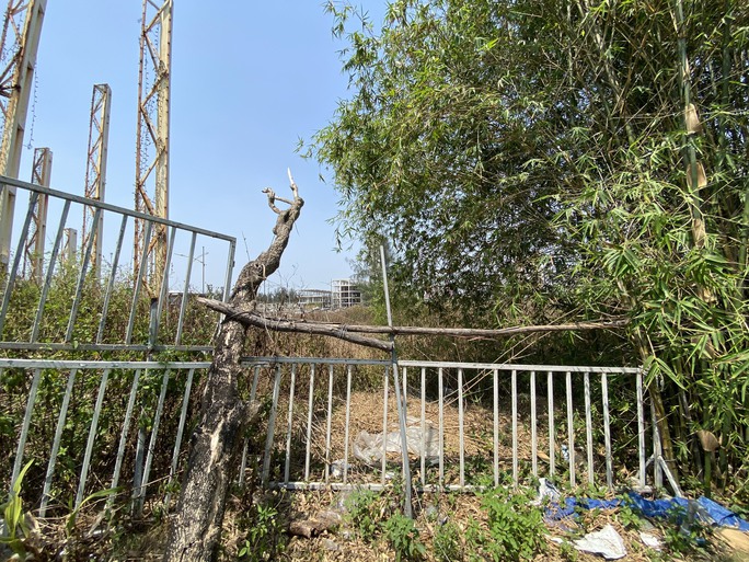 Cận cảnh hoang tàn tại siêu dự án Cocobay Đà Nẵng - Ảnh 7.