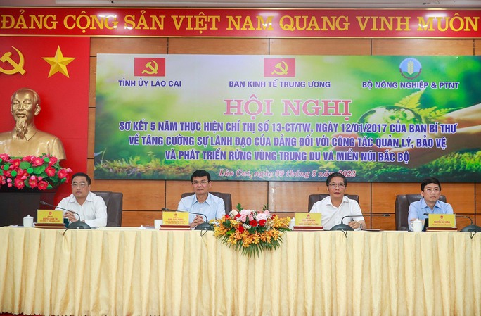 Bảo vệ rừng để thực hiện cam kết phát thải ròng về 0 - Ảnh 1.