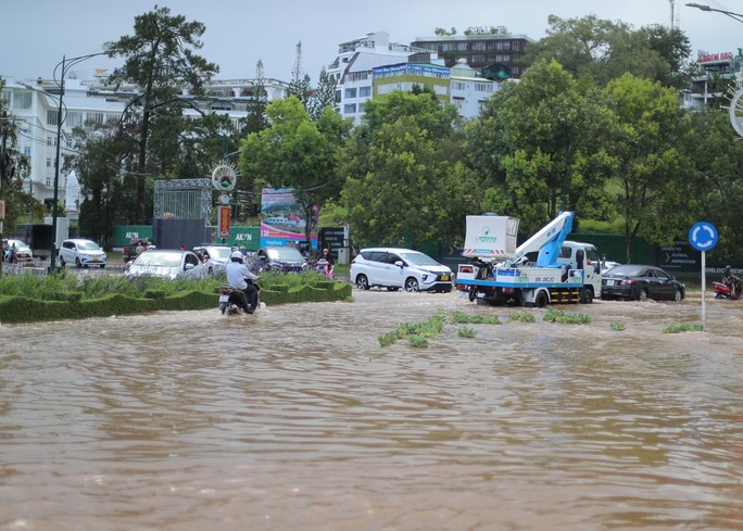 Đà Lạt: Nhiều con đường chìm trong biển nước, cây đổ la liệt - Ảnh 1.