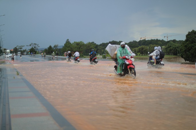 Đà Lạt: Nhiều con đường chìm trong biển nước, cây đổ la liệt - Ảnh 3.