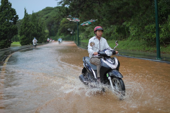 Đà Lạt: Nhiều con đường chìm trong biển nước, cây đổ la liệt - Ảnh 4.