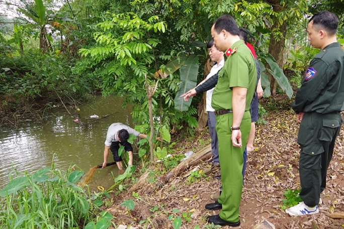 Lý do một doanh nghiệp bị phạt 2,6 tỉ đồng - Ảnh 1.