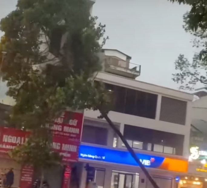 TP HCM: Mưa lớn, cây cao hơn 10m bật gốc đổ xuống đường - Ảnh 4. TP HCM: Mưa lớn, cây cao hơn 10m bật gốc đổ xuống đường - Ảnh 4.