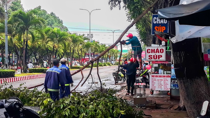 Miền Tây: Hình ảnh nhà bay nóc, cây ngã đổ sau mưa lớn kèm dông lốc - Ảnh 6.