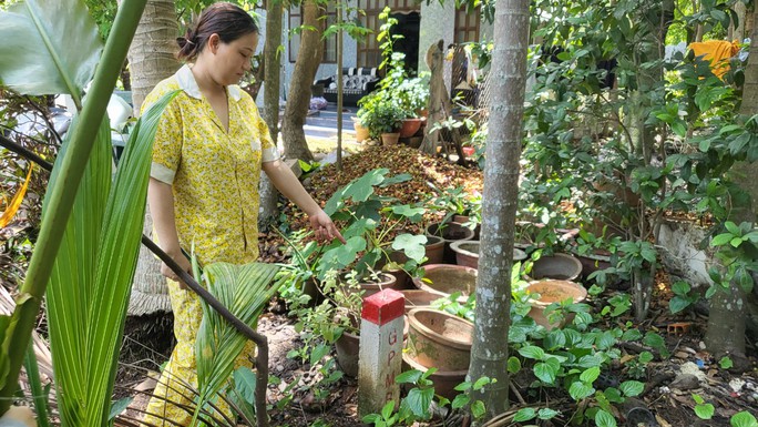 Tiến độ 4 dự án giao thông "khủng" tại Bình Dương