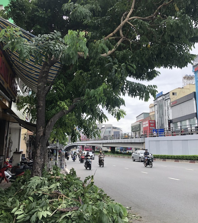 TP HCM se lạnh trong ngày đầu tuần - Ảnh 10. TP HCM se lạnh trong ngày đầu tuần - Ảnh 10.
