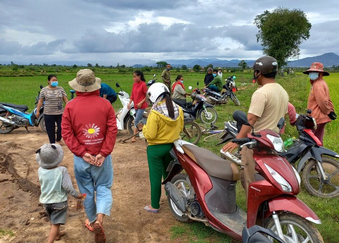 27 hộ dân ở Gia Lai kêu cứu vì ruộng lúa biến thành mỏ cát - Ảnh 2.