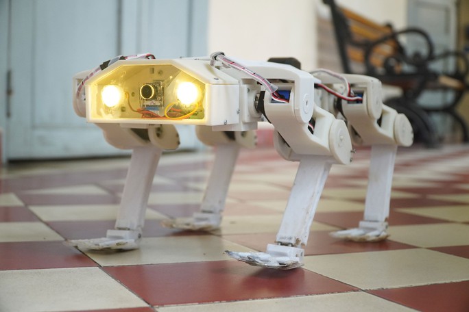 Robot chó cứu hộ tranh tài trên đất Mỹ - Ảnh 3.