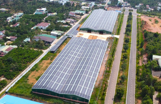 Lâm Đồng: Yêu cầu tạm dừng mua điện của doanh nghiệp "núp bóng" dự án