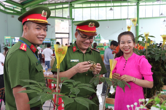 Phát hiện 2 kg sâm Ngọc Linh nghi giả chuẩn bị tuồn vào hội chợ - Ảnh 1.