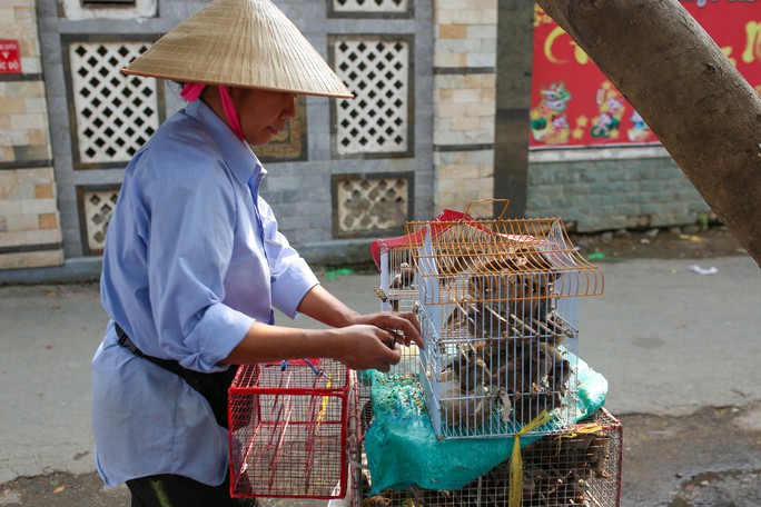 Công nghệ phóng sinh - Ảnh 1.