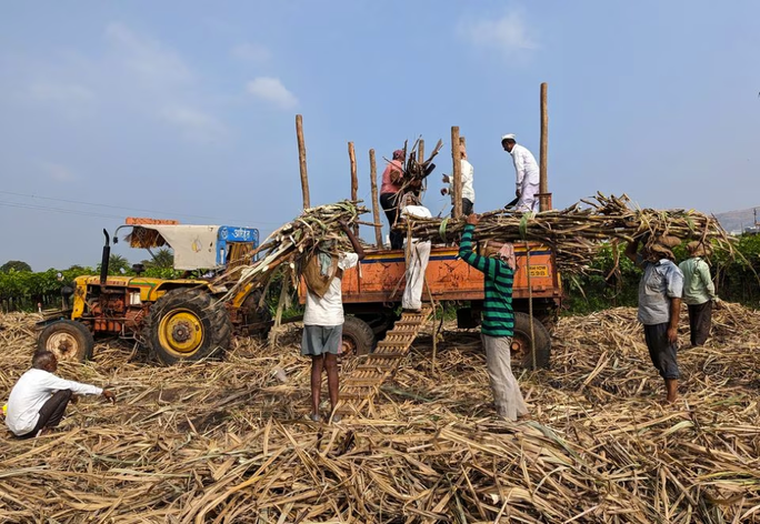 Sau 1 tháng cấm xuất khẩu gạo, Ấn Độ tiếp tục có động thái gây lo ngại - Ảnh 1.