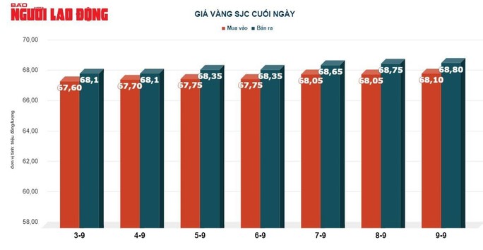 Giá vàng hôm nay 10-9: Vàng SJC tăng rất mạnh - Ảnh 3.