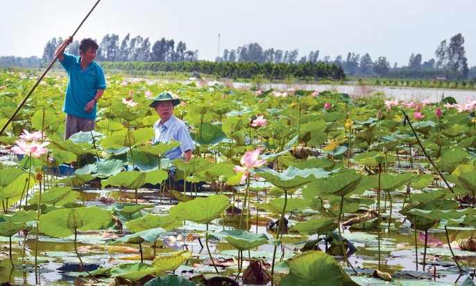 “Ông Bí thư nông dân”! - Ảnh 3.