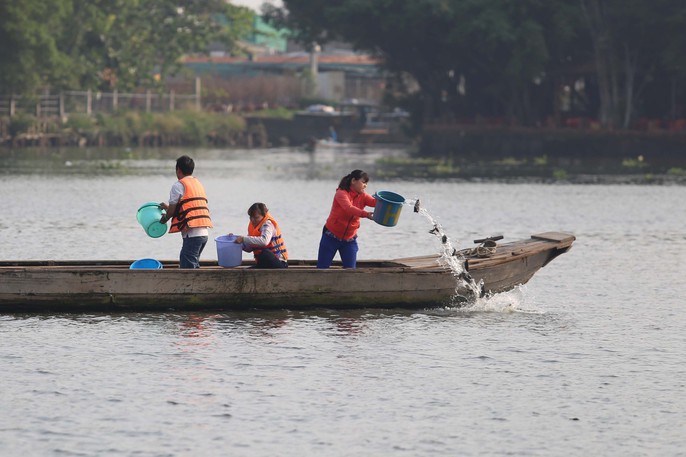 Cá chép đưa ông Táo bị xử đẹp khi vừa đến sông Sài Gòn - Ảnh 11.