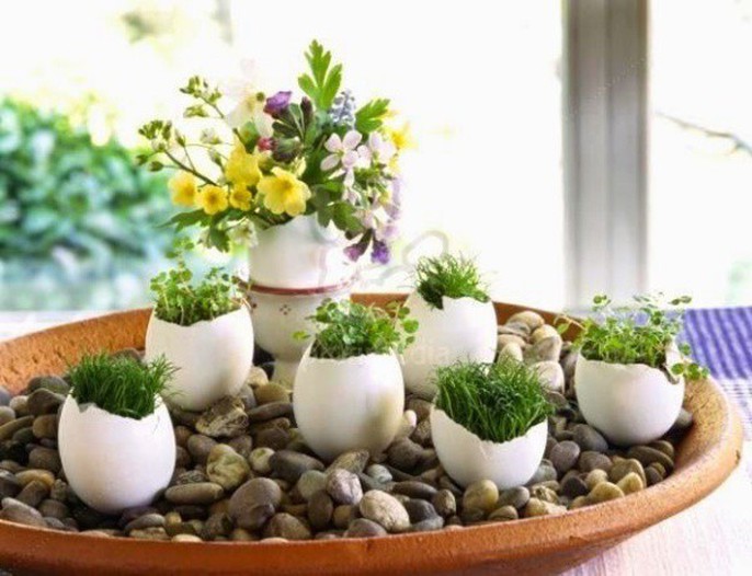 Ý tưởng độc đáo: Trồng cây trong vỏ trứng - Ảnh 12.