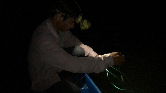 Săn cá ngát đêm ở Sài Gòn - Ảnh 5.