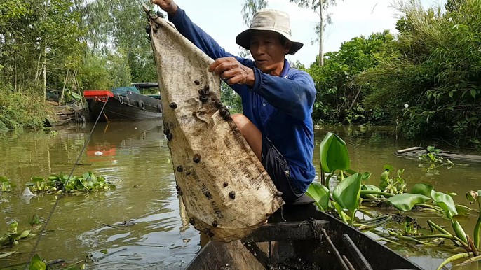 Tuyệt chiêu bắt ốc đắng kiếm tiền triệu mỗi ngày của lão nông miền Tây - Ảnh 8.