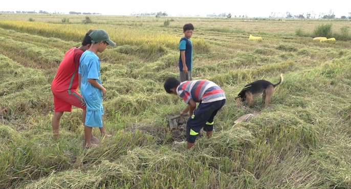 Về miền Tây mùa lũ, xem thợ săn chuột đồng “hốt bạc” - Ảnh 2.