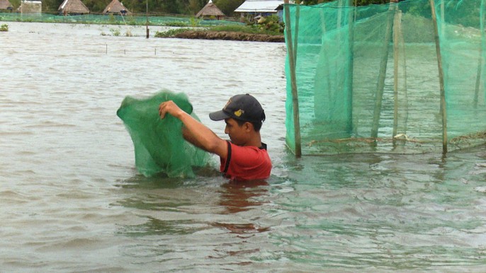 Khai thác nguồn lợi thủy sản mùa nước nổi mang tính tận diệt - Ảnh 5. Khai thác nguồn lợi thủy sản mùa nước nổi mang tính tận diệt - Ảnh 5.