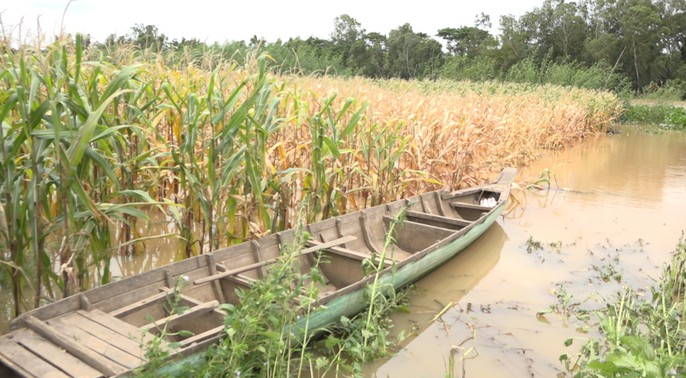 Hằng ngày, tôi phải đi làm qua đây