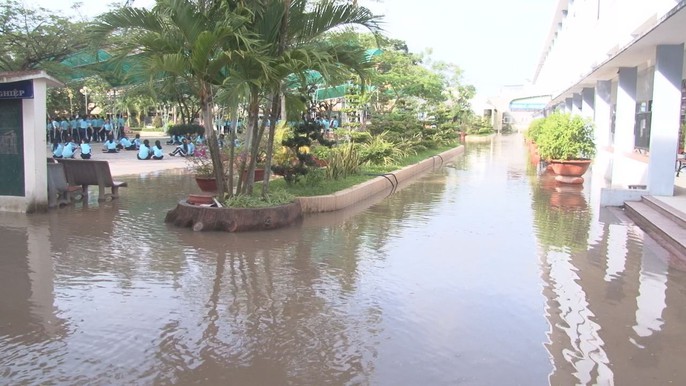Hằng ngày, tôi phải đi làm qua đây