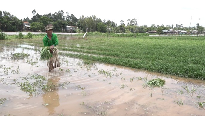 Hằng ngày, tôi phải đi làm qua đây