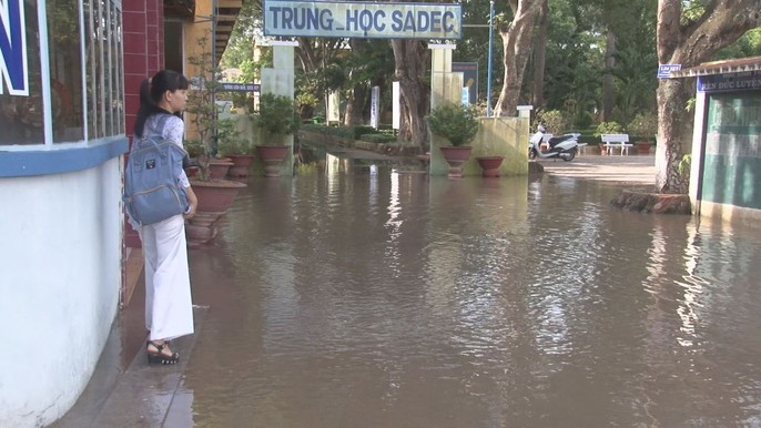 Hằng ngày, tôi phải đi làm qua đây