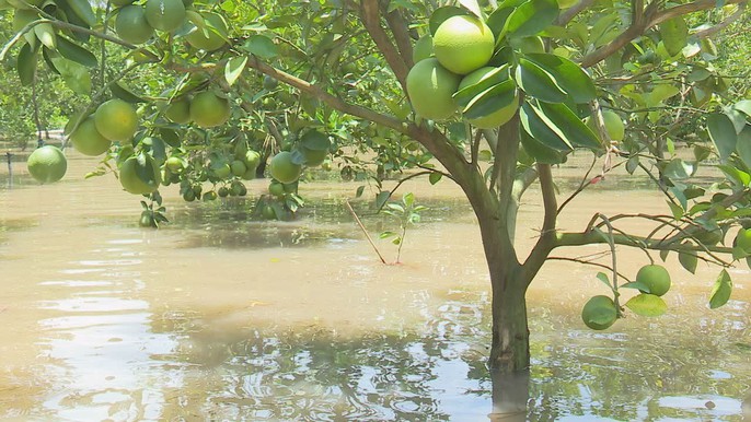 Hằng ngày, tôi phải đi làm qua đây