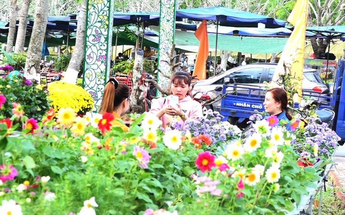 Làng hoa Sa Đéc “thất thủ” vì quá tải lượng khách tham quan - Ảnh 6. Làng hoa Sa Đéc “thất thủ” vì quá tải lượng khách tham quan - Ảnh 6.