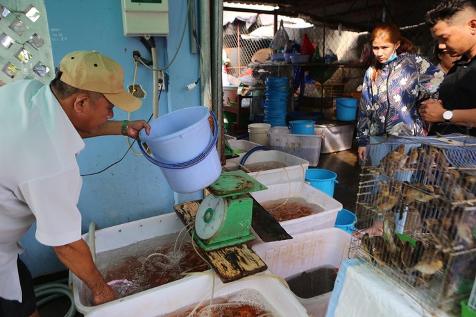 Mua cá Koi vài trăm ngàn đồng/con đưa tiễn ông Táo - Ảnh 8.