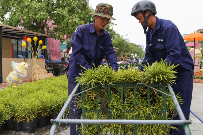 Toàn cảnh đường hoa Nguyễn Huệ trước giờ khai mạc - Ảnh 8. Toàn cảnh đường hoa Nguyễn Huệ trước giờ khai mạc - Ảnh 8.
