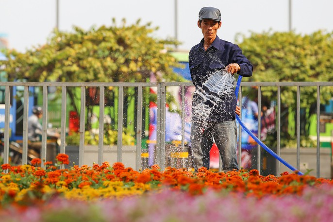 Toàn cảnh đường hoa Nguyễn Huệ trước giờ khai mạc - Ảnh 14. Toàn cảnh đường hoa Nguyễn Huệ trước giờ khai mạc - Ảnh 14.