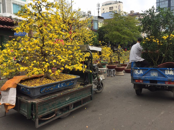 Hoa Tết bắt đầu giảm giá, xả hàng - Ảnh 3.