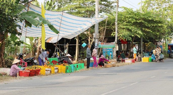 Vương quốc quýt hồng Lai Vung “hốt bạc” nhờ bán được giá cao - Ảnh 4.