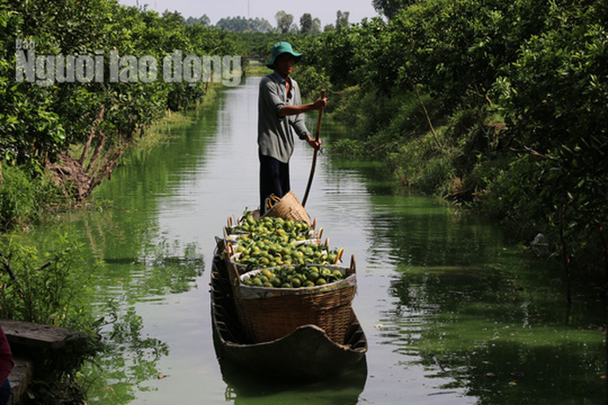 Xuân về trên các Hội quán nông dân ở Đồng Tháp - Ảnh 2.