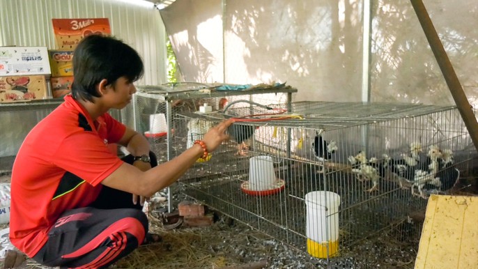 Kỹ sư điện ly hôn vợ vì chán thành thị, bỏ về quê nuôi gà quý phi  - Ảnh 10.